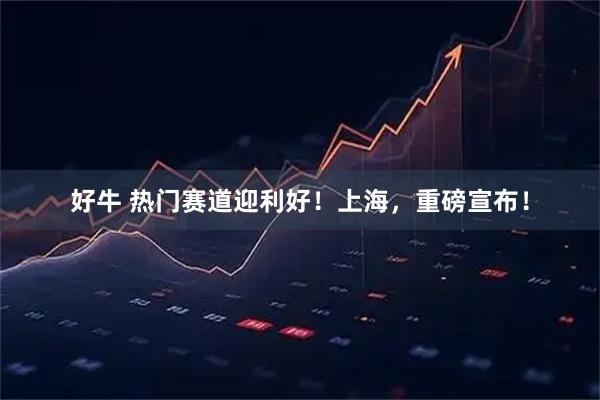 好牛 热门赛道迎利好！上海，重磅宣布！