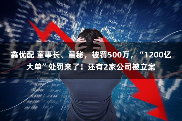 鑫优配 董事长、董秘，被罚500万，“1200亿大单”处罚来了！还有2家公司被立案